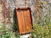 سینی چوب طبیعی ترمو